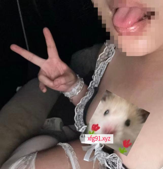石家庄BBW小奶包 - 寻芳阁